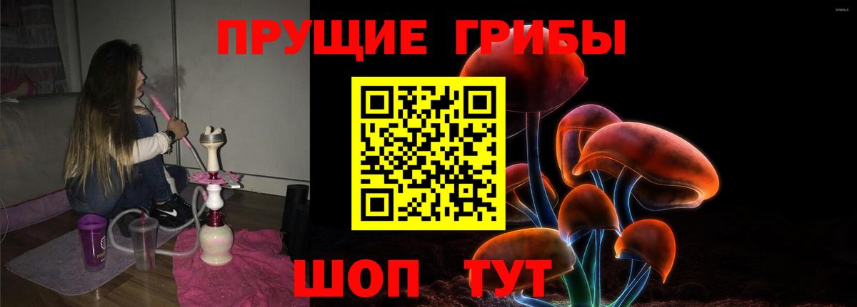 Алатырь  Псилоцибиновые грибы Psilocybine cubensis  Галлюциногенные грибы GOLDEN TEACHER  Вход с VPN 